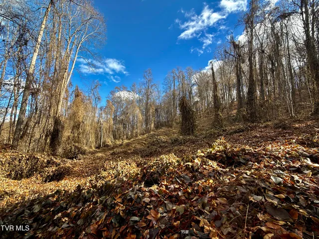 $899,900 | 1520 Brittontown Road, Afton, TN 37616