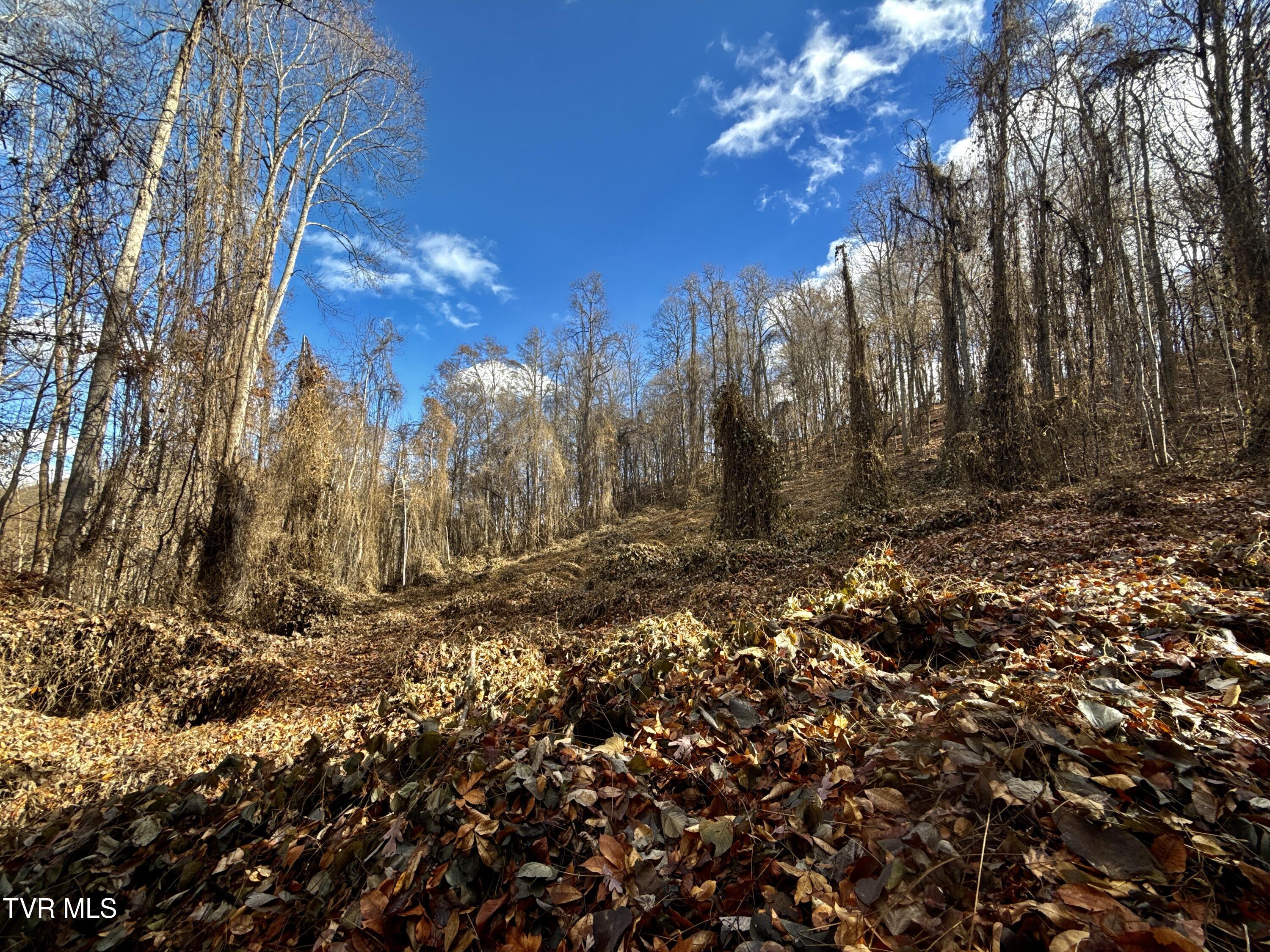1520 Brittontown Road Afton, TN 37616 - Photo 53 of 85 _Pic55 (7)