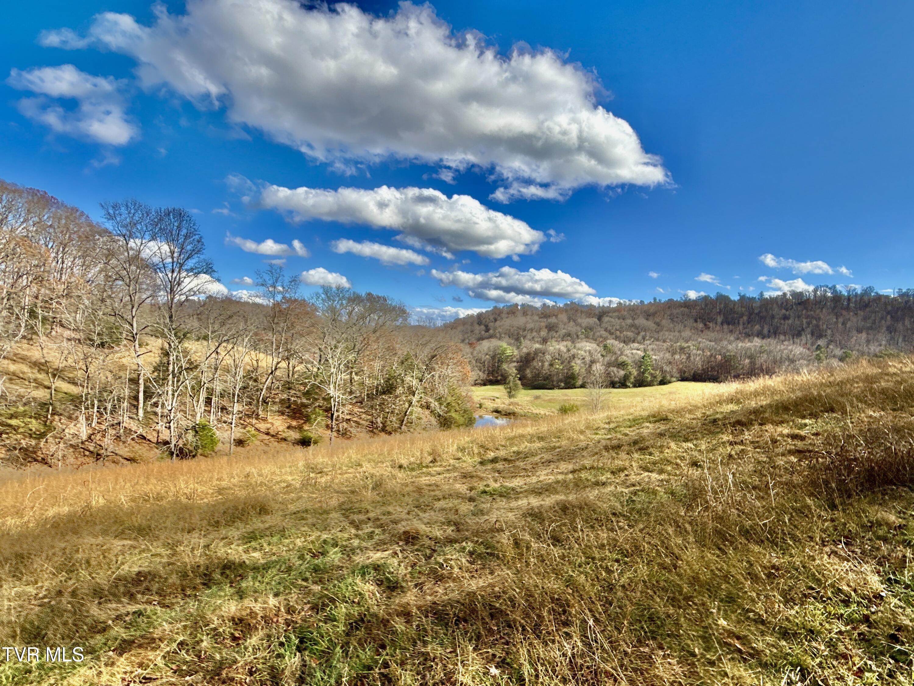 1520 Brittontown Road Afton, TN 37616 - Photo 56 of 85 _Pic58 (9)