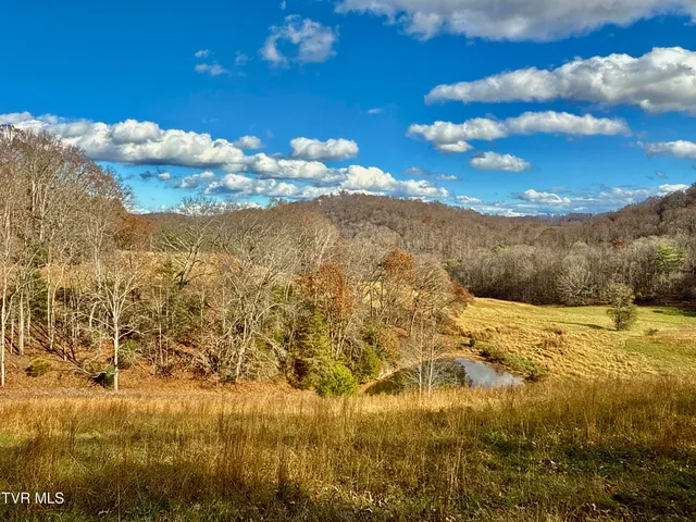 $899,900 | 1520 Brittontown Road, Afton, TN 37616