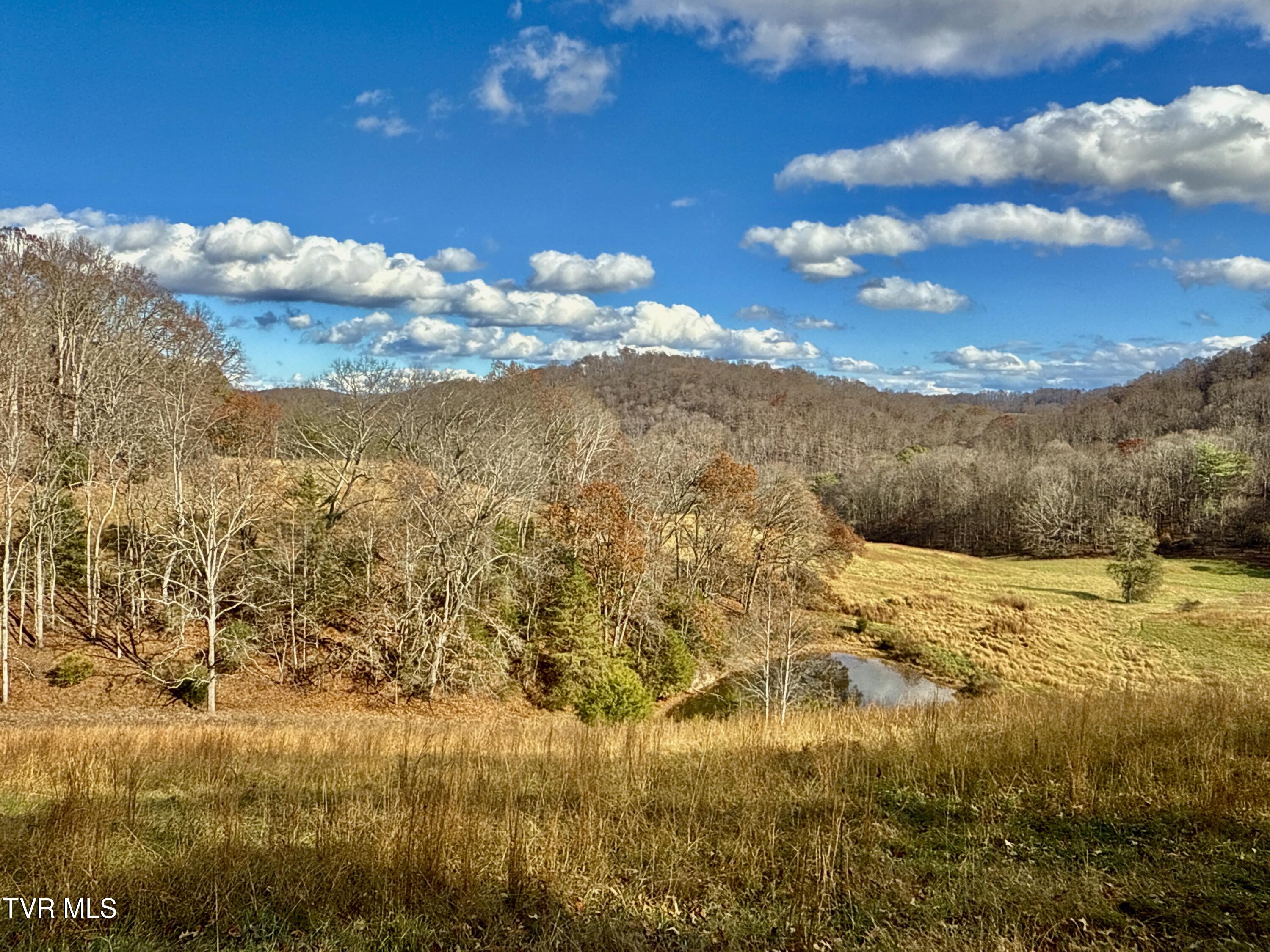 1520 Brittontown Road Afton, TN 37616 - Photo 57 of 85 _Pic59 (8)