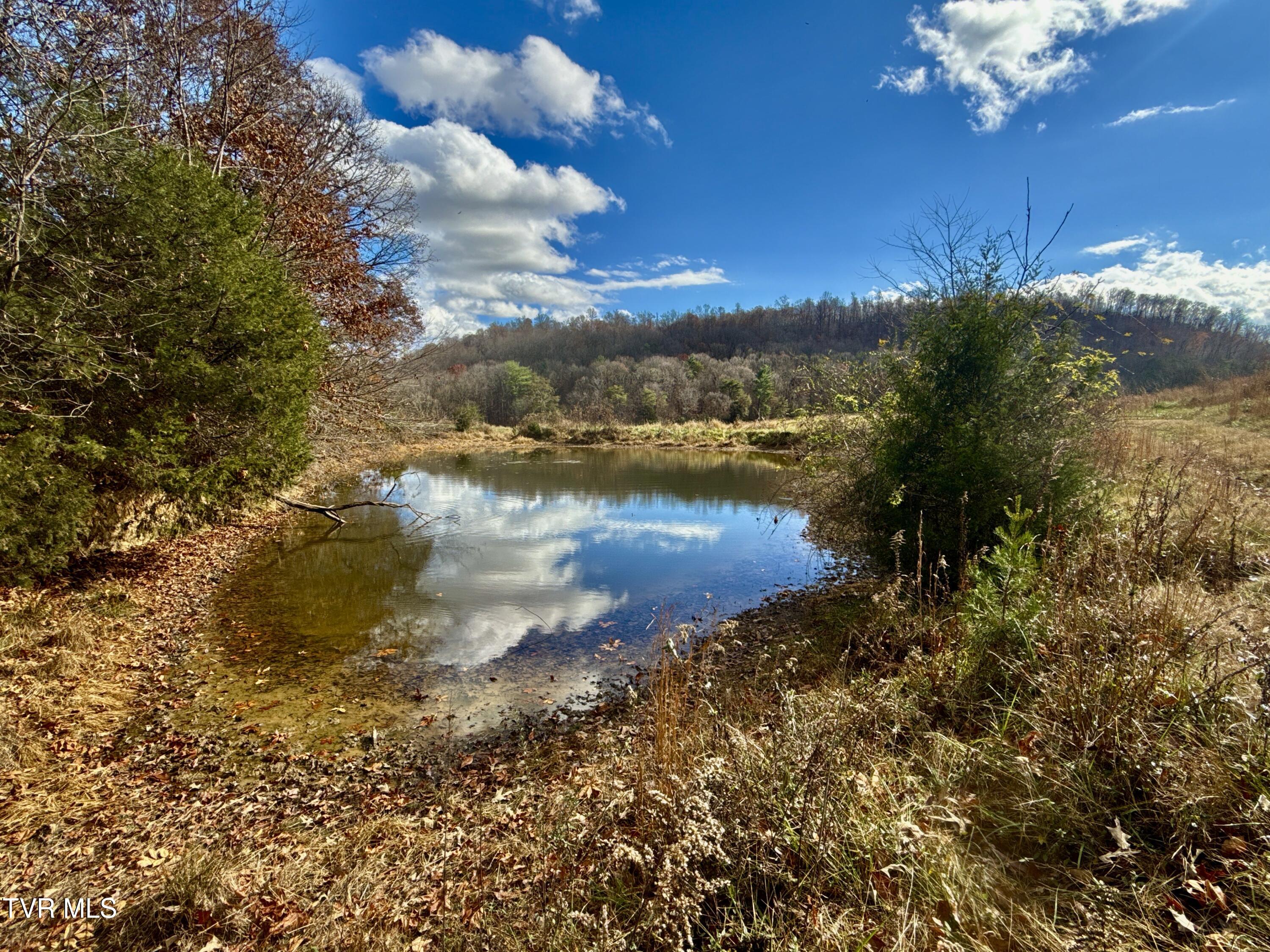 1520 Brittontown Road Afton, TN 37616 - Photo 58 of 85 _Pic60 (9)