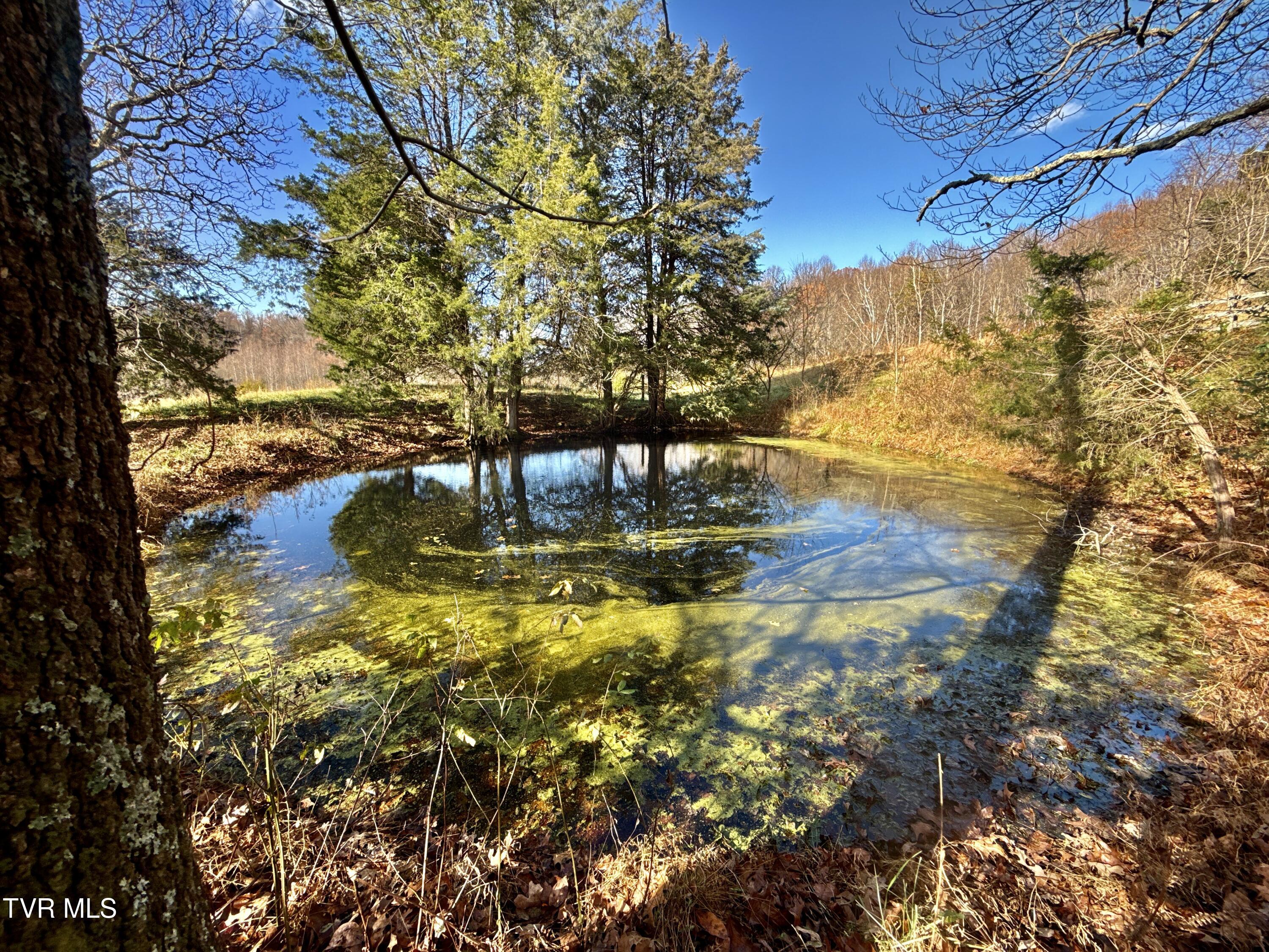 1520 Brittontown Road Afton, TN 37616 - Photo 59 of 85 _Pic61 (7)