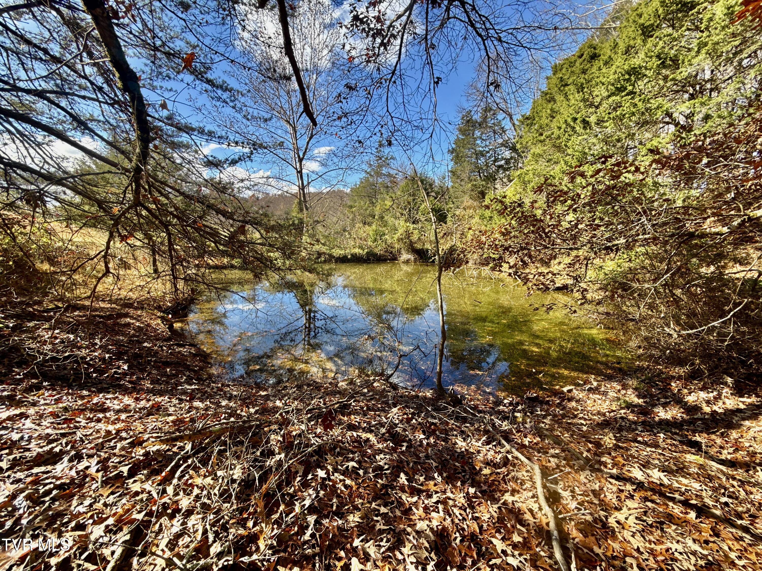 1520 Brittontown Road Afton, TN 37616 - Photo 60 of 85 _Pic62 (7)