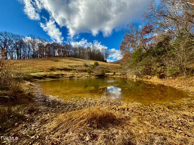 $899,900 | 1520 Brittontown Road, Afton, TN 37616