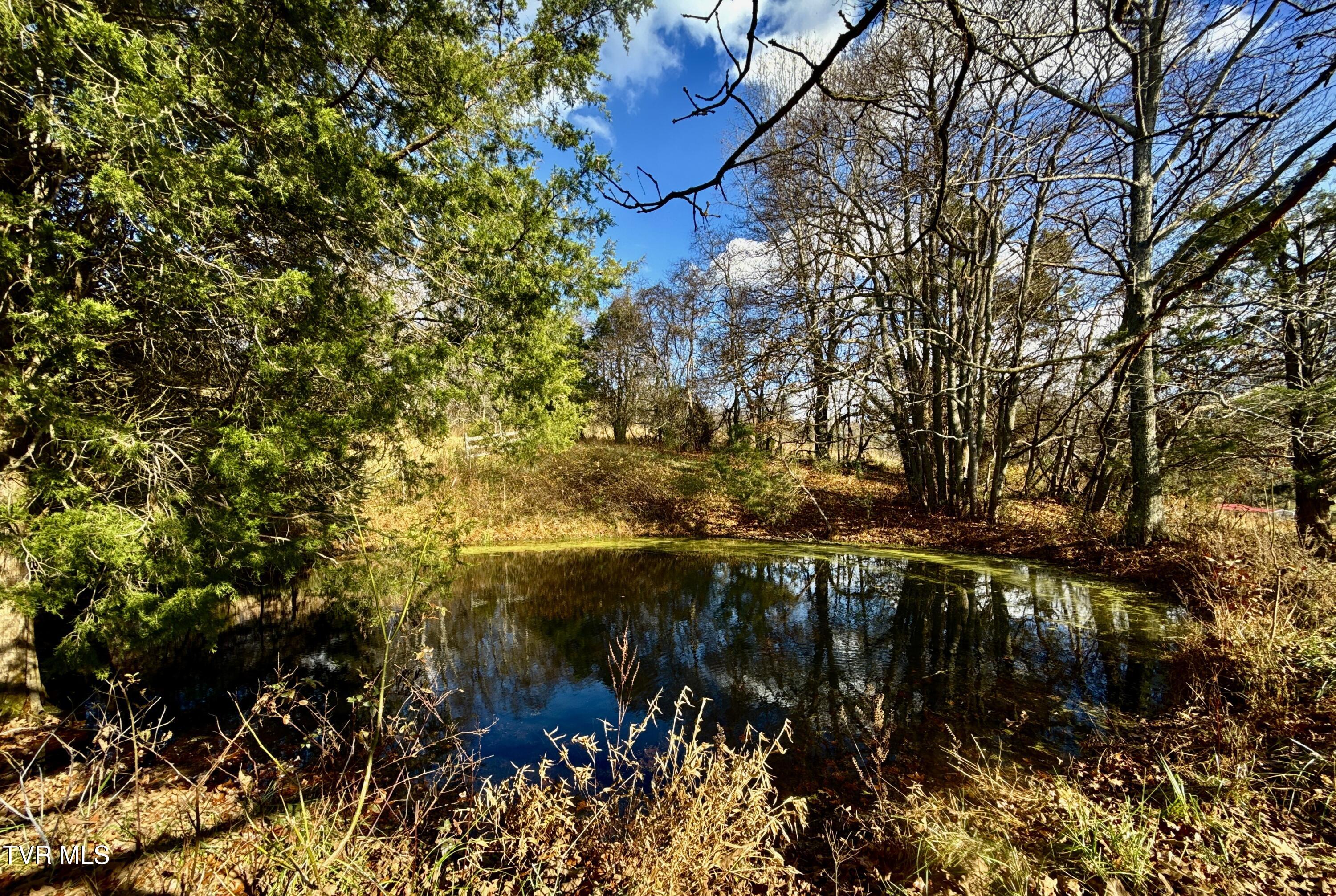 1520 Brittontown Road Afton, TN 37616 - Photo 62 of 85 _Pic64 (6)