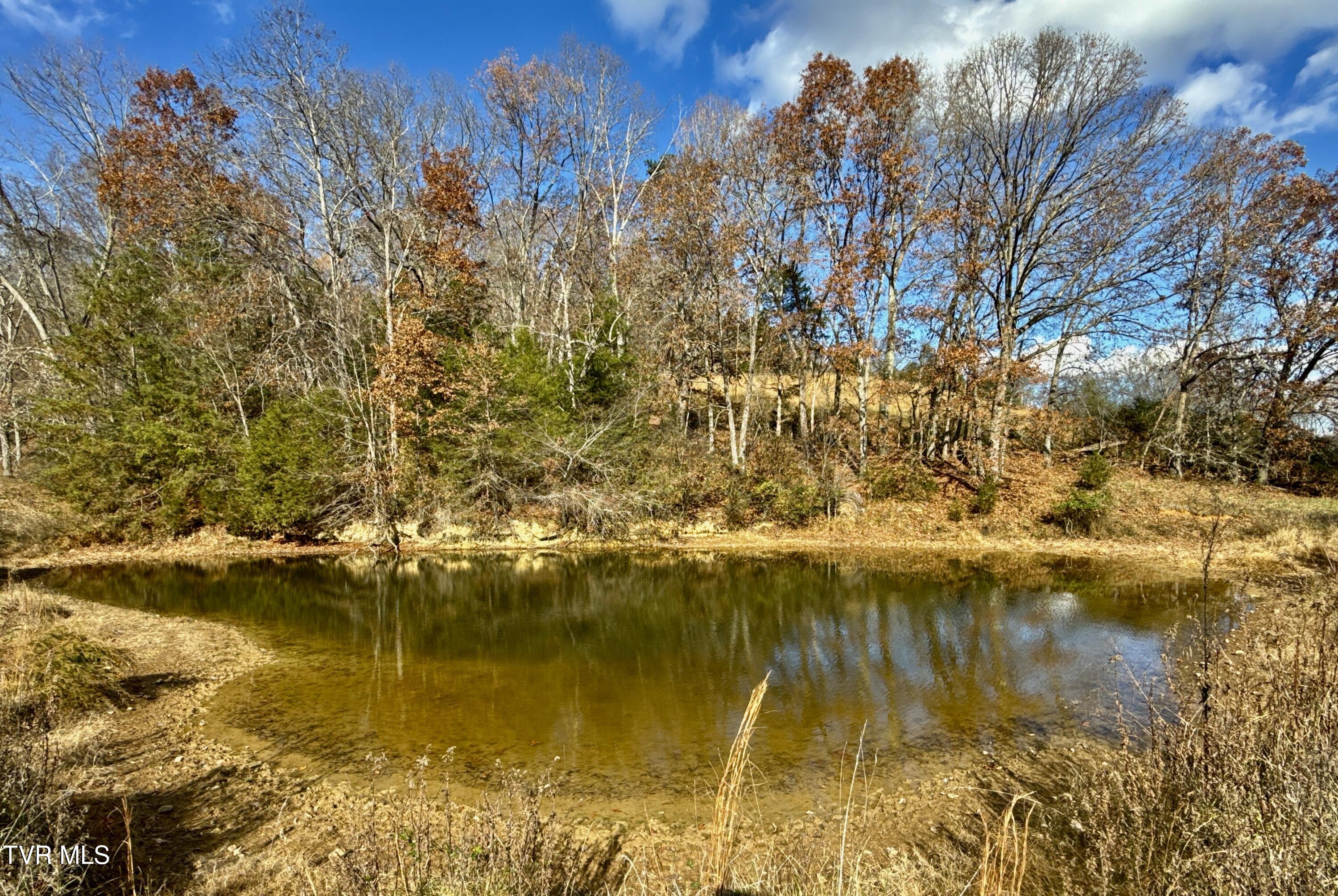 1520 Brittontown Road Afton, TN 37616 - Photo 63 of 85 _Pic65 (7)