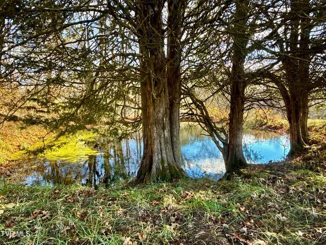 $899,900 | 1520 Brittontown Road, Afton, TN 37616