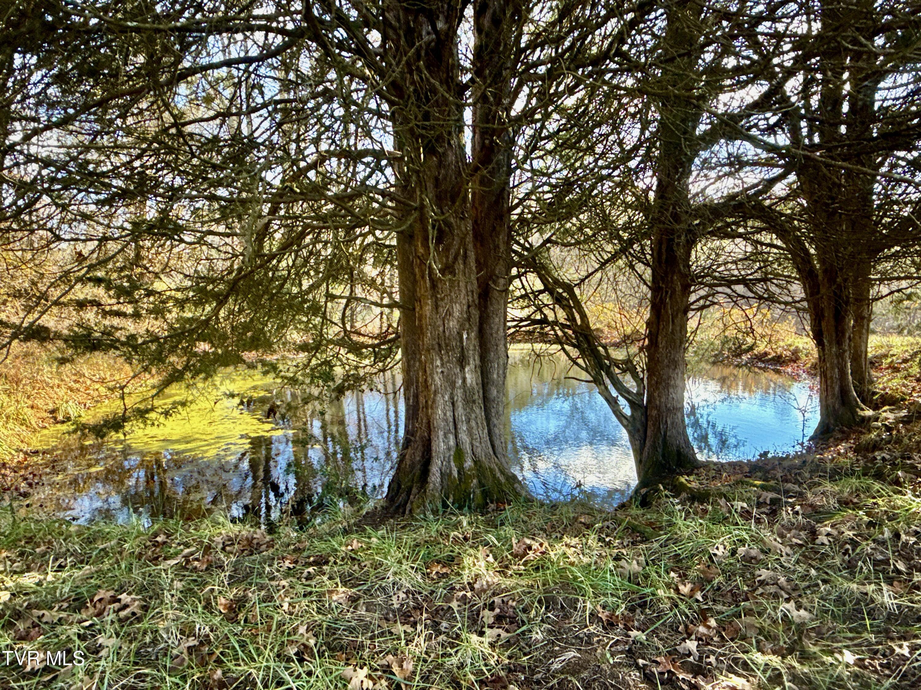 1520 Brittontown Road Afton, TN 37616 - Photo 64 of 85 _Pic66 (8)