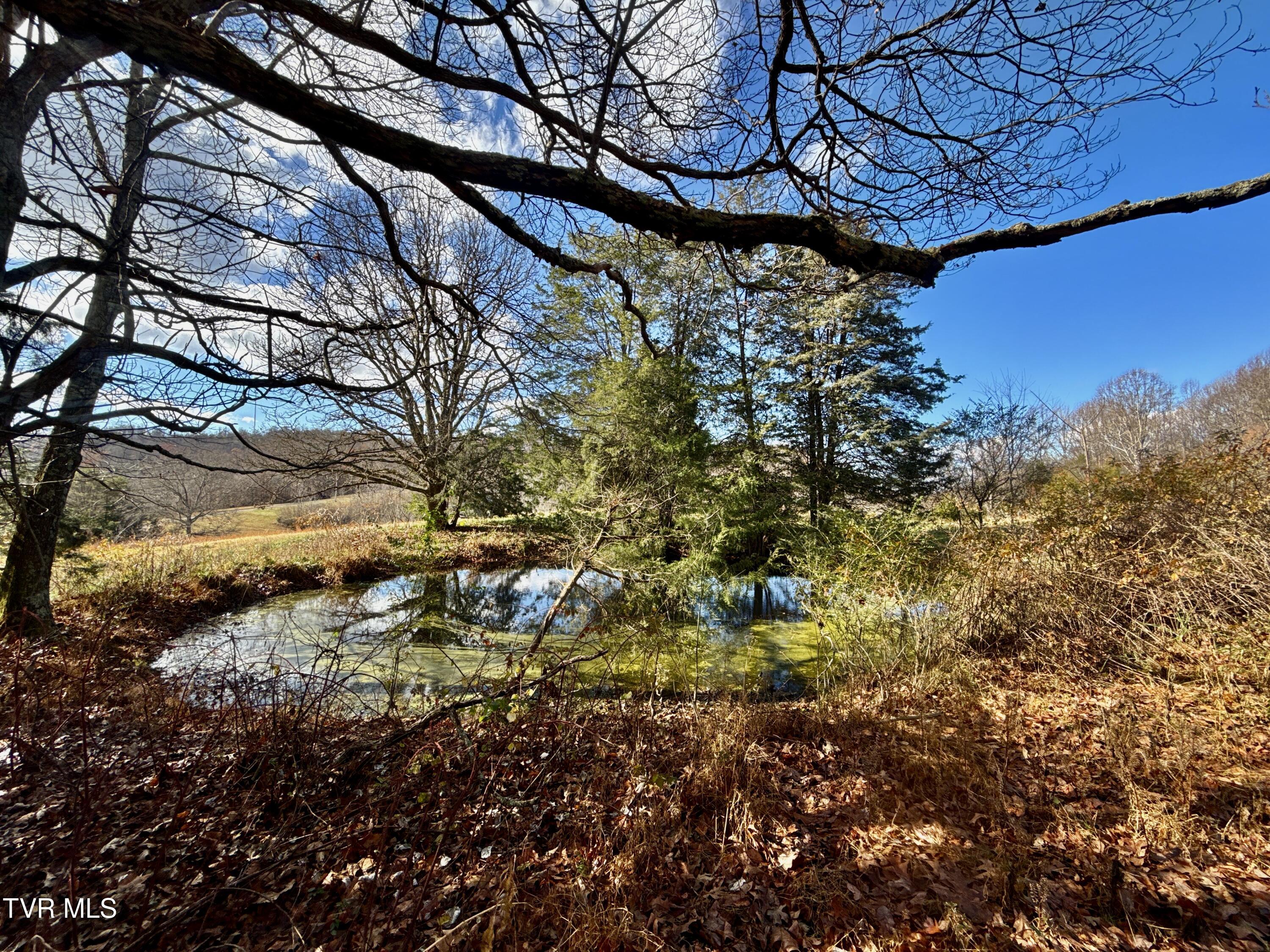 1520 Brittontown Road Afton, TN 37616 - Photo 65 of 85 _Pic67 (8)