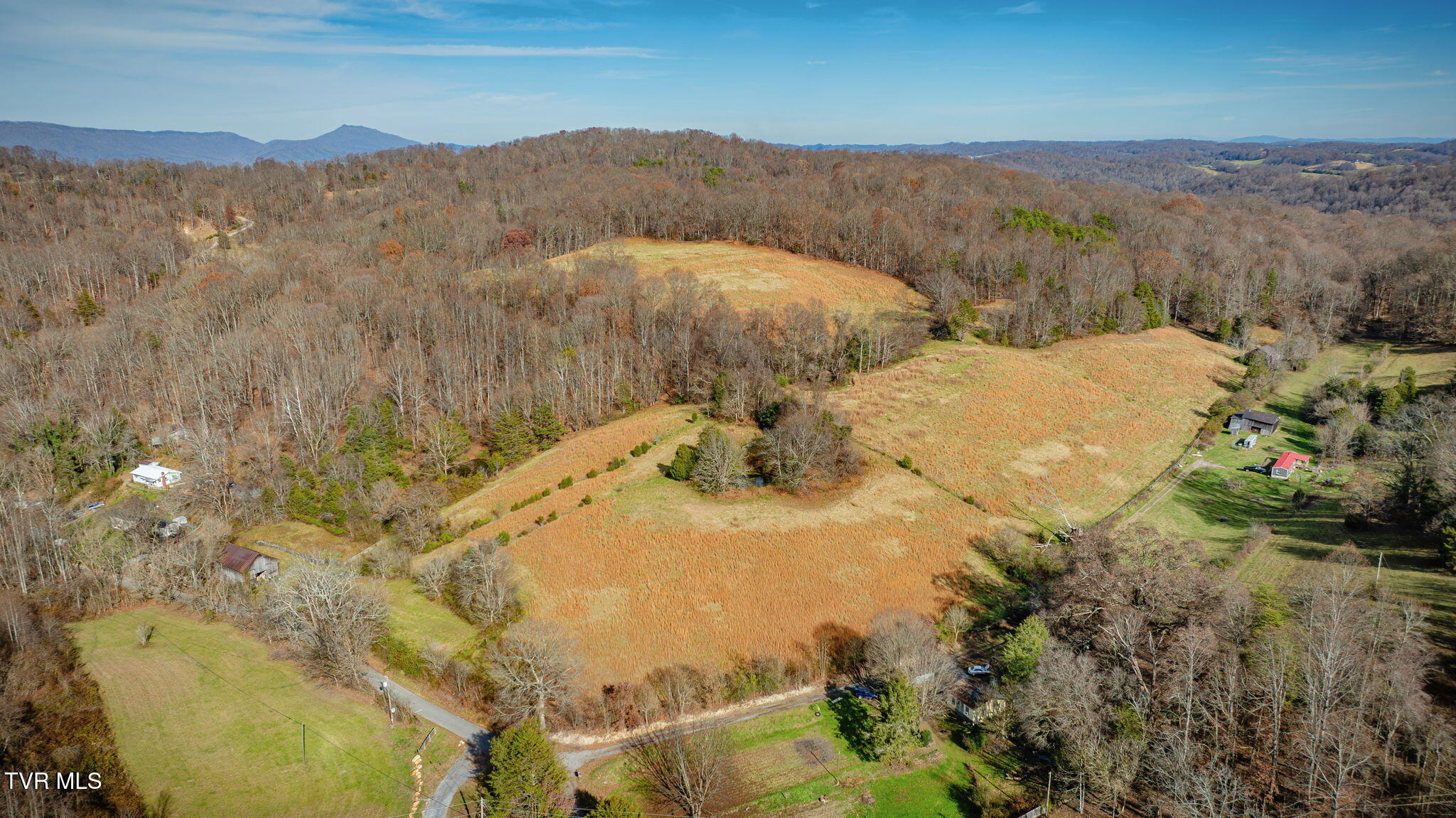 1520 Brittontown Road Afton, TN 37616 - Photo 66 of 85 _Pic68 (8)