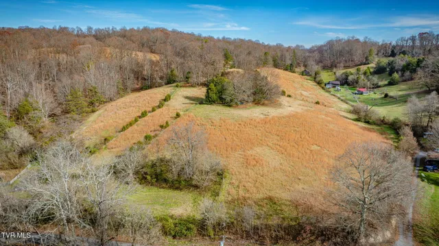 $899,900 | 1520 Brittontown Road, Afton, TN 37616