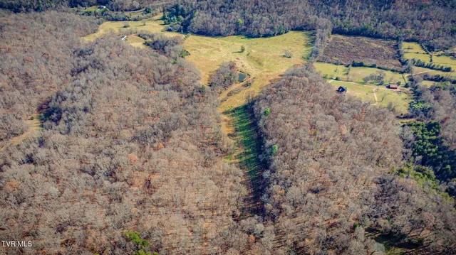 $899,900 | 1520 Brittontown Road, Afton, TN 37616