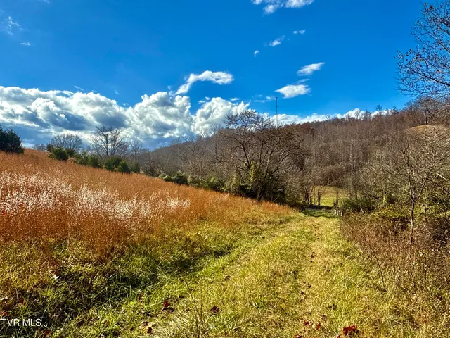 $899,900 | 1520 Brittontown Road, Afton, TN 37616