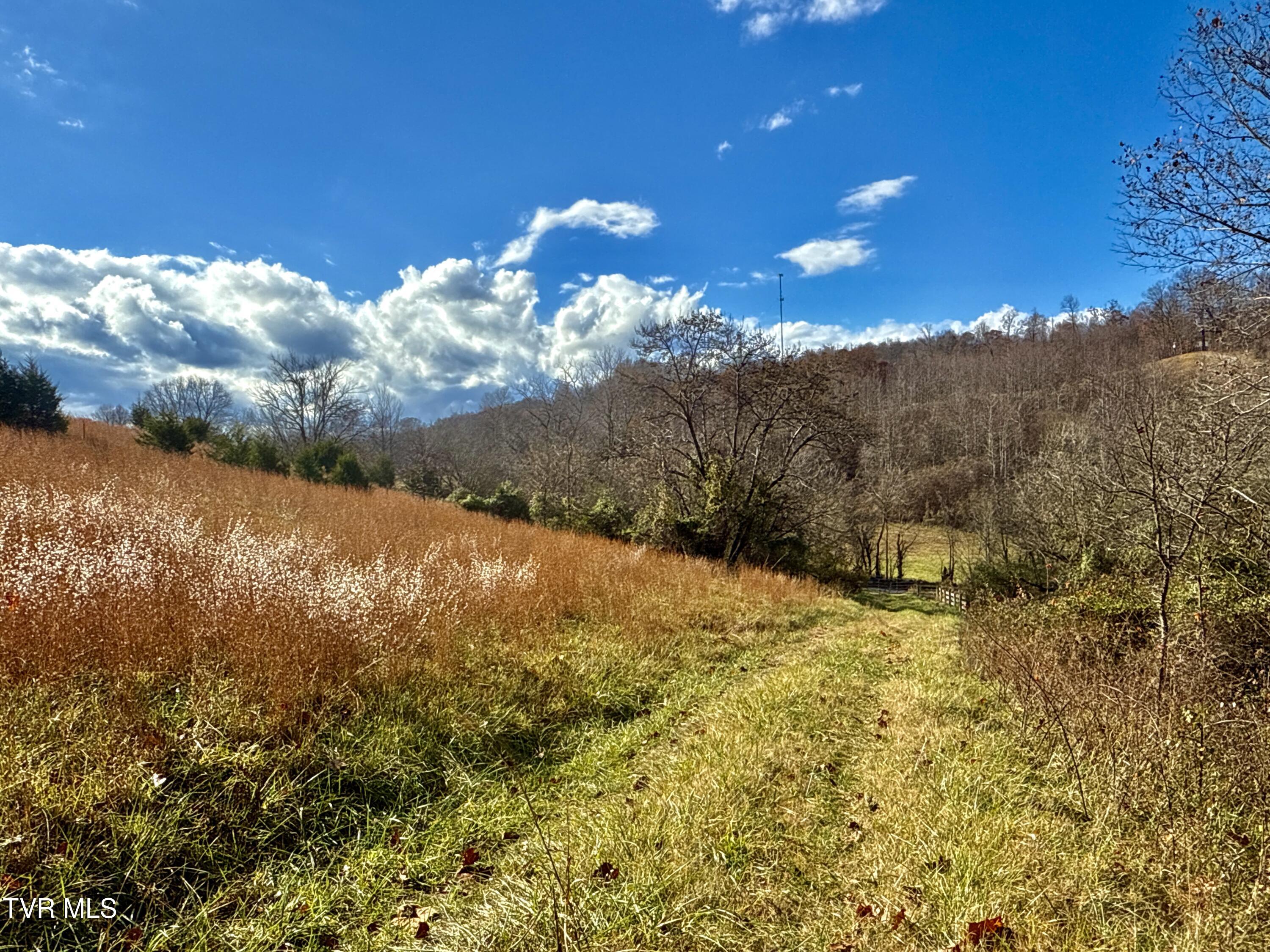 1520 Brittontown Road Afton, TN 37616 - Photo 7 of 85 _Pic8 (22)