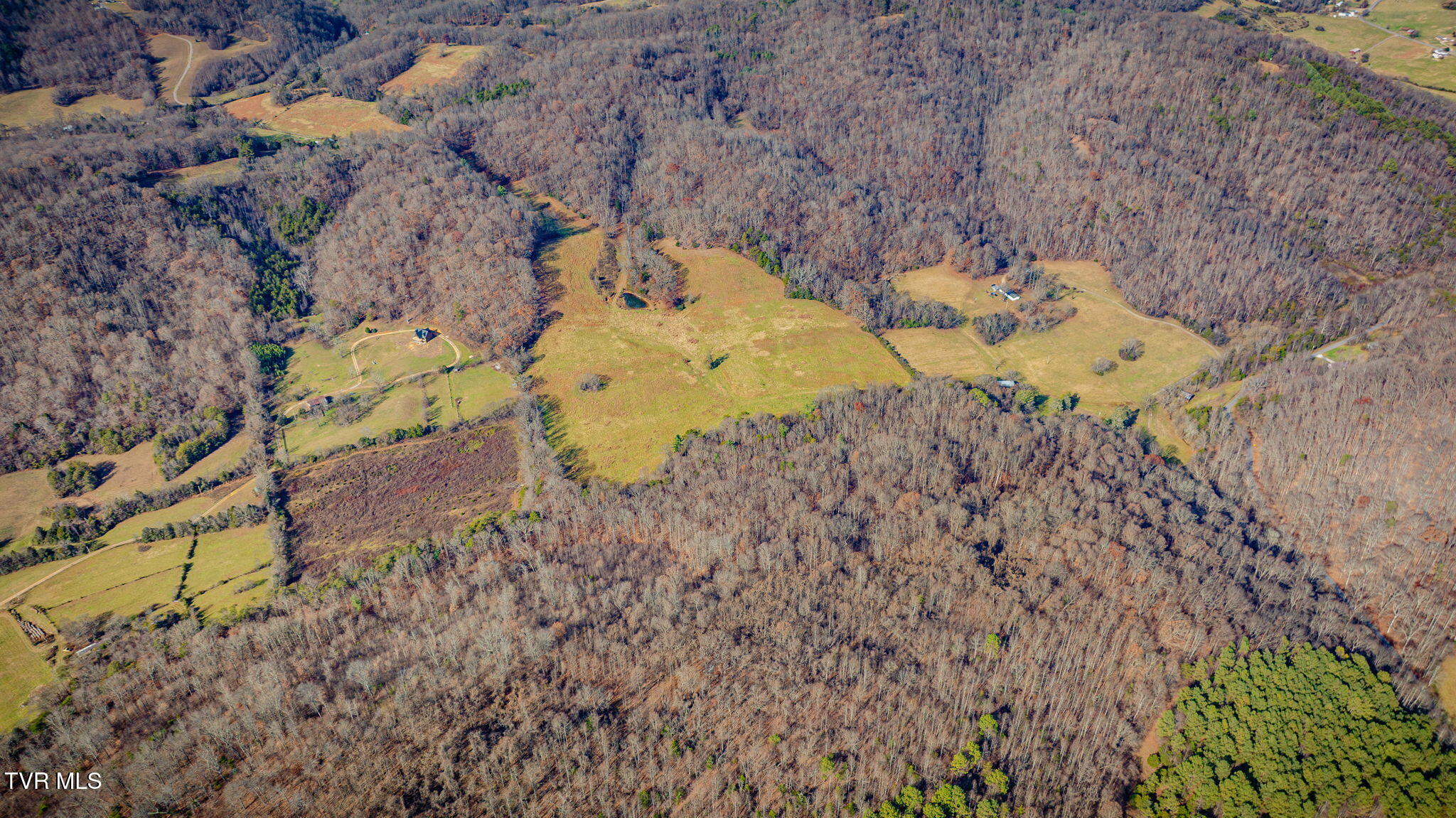 1520 Brittontown Road Afton, TN 37616 - Photo 71 of 85 _Pic73 (4)