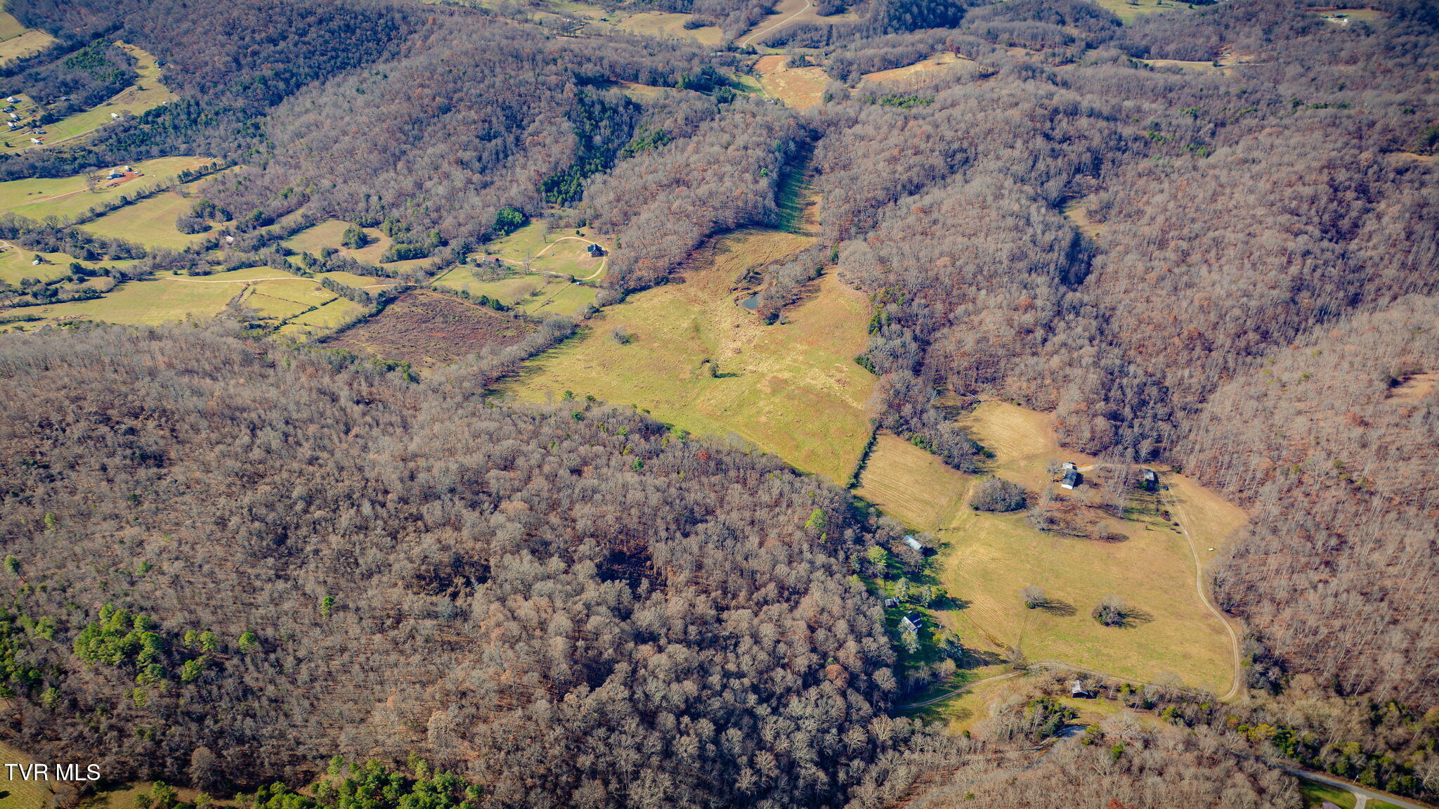 1520 Brittontown Road Afton, TN 37616 - Photo 72 of 85 _Pic74 (5)