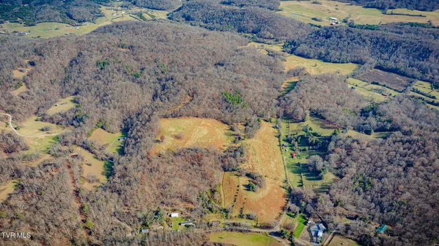 $899,900 | 1520 Brittontown Road, Afton, TN 37616