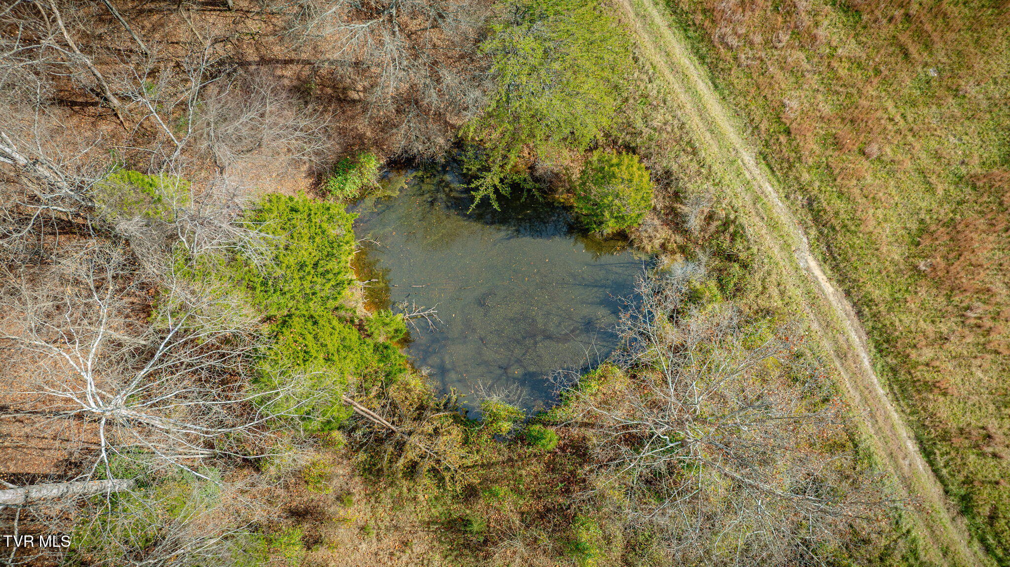 1520 Brittontown Road Afton, TN 37616 - Photo 77 of 85 _Pic80 (3)