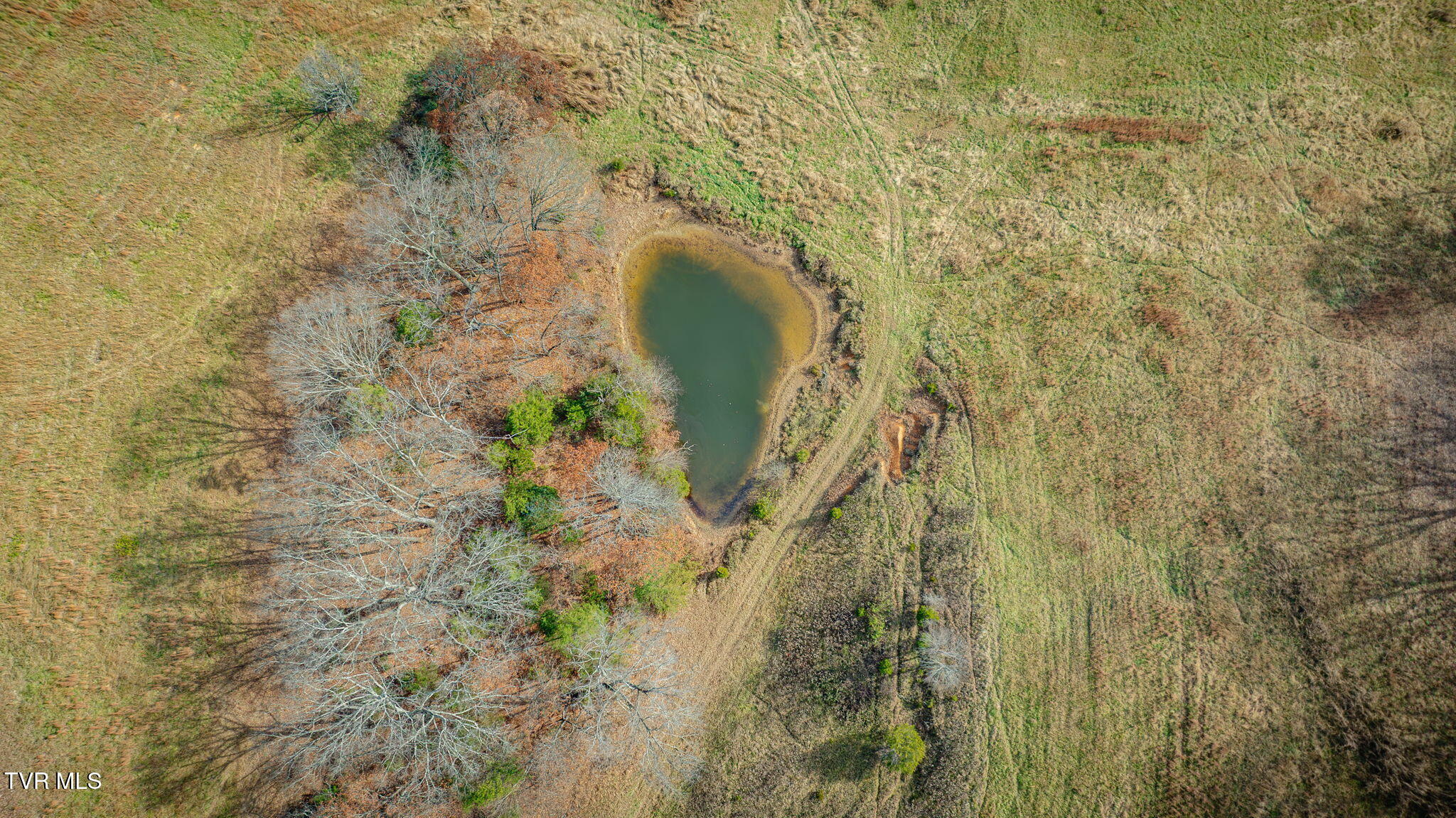 1520 Brittontown Road Afton, TN 37616 - Photo 78 of 85 _Pic81 (3)