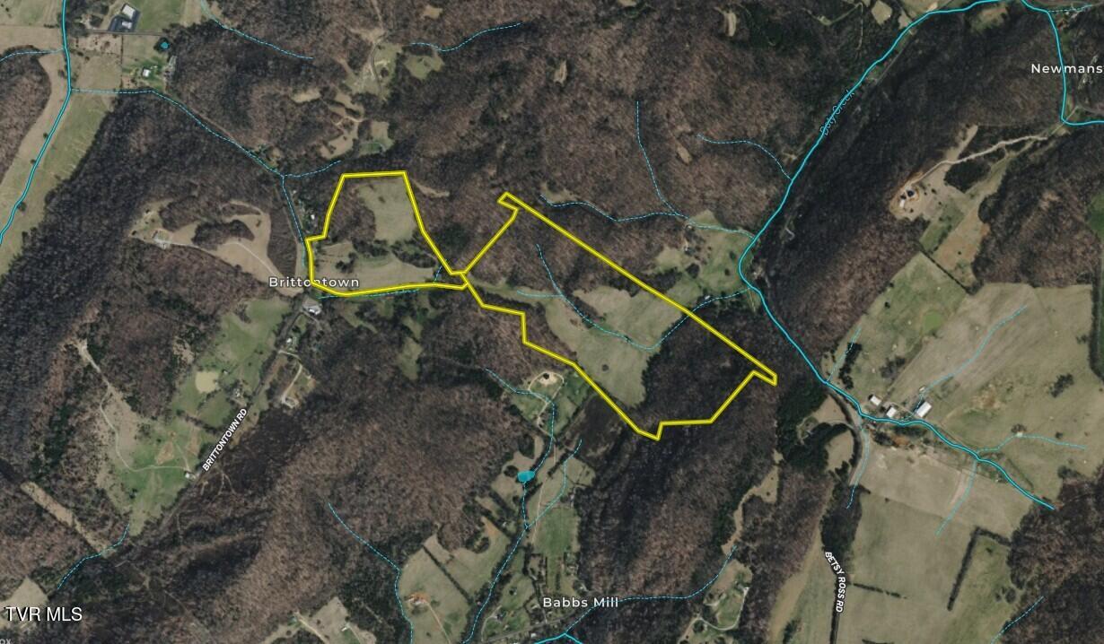 1520 Brittontown Road Afton, TN 37616 - Photo 79 of 85 _Pic82 (3)