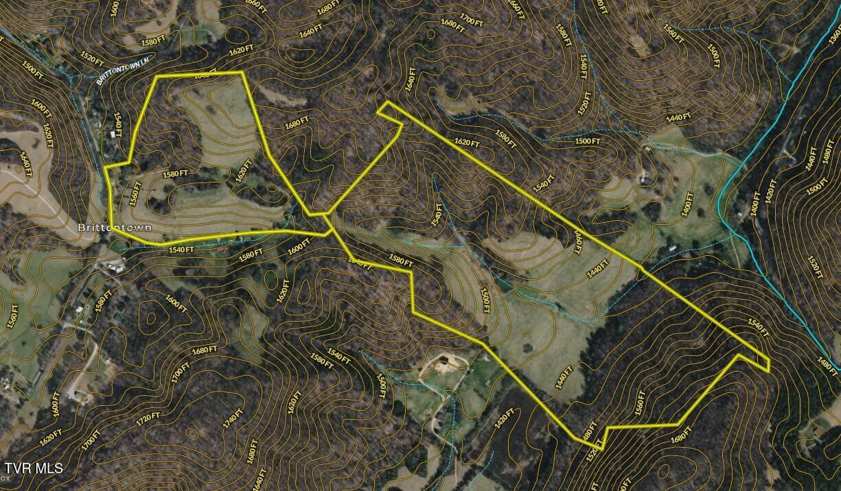 1520 Brittontown Road Afton, TN 37616 - Photo 80 of 85 _Pic83 (2)