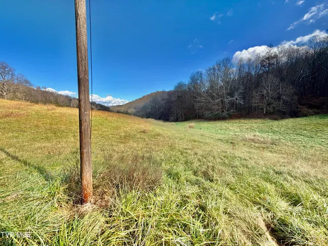 $899,900 | 1520 Brittontown Road, Afton, TN 37616