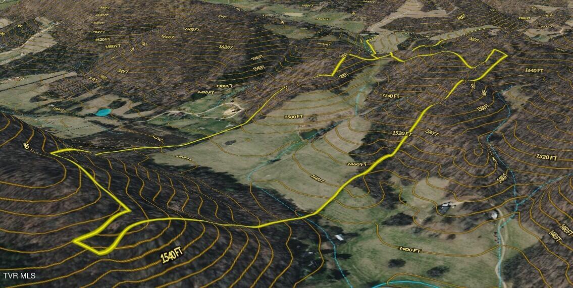 1520 Brittontown Road Afton, TN 37616 - Photo 81 of 85 _Pic84 (3)