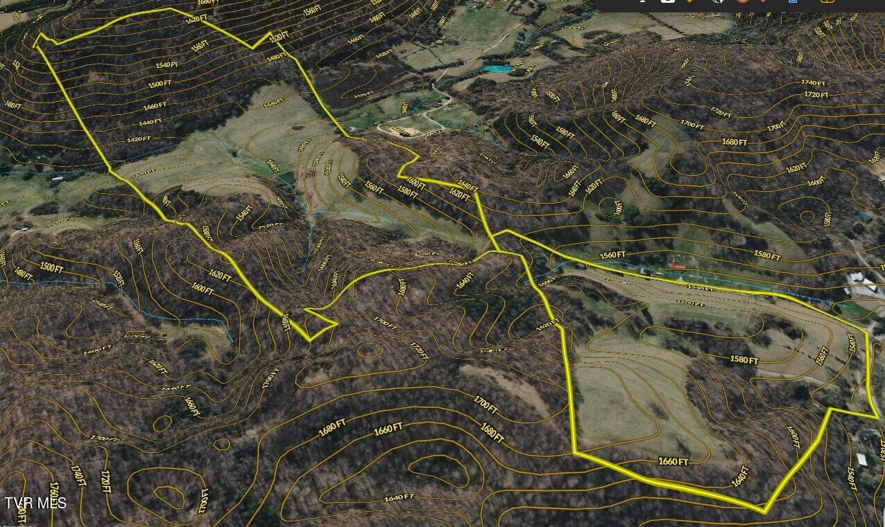 1520 Brittontown Road Afton, TN 37616 - Photo 82 of 85 _Pic85 (3)