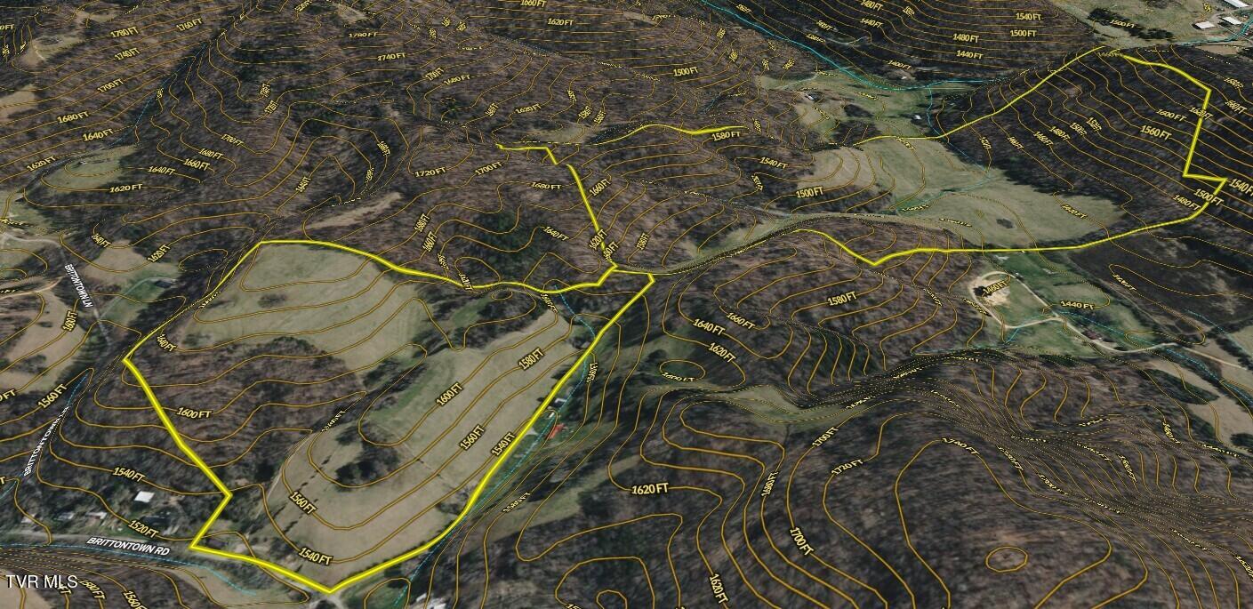 1520 Brittontown Road Afton, TN 37616 - Photo 83 of 85 _Pic86 (2)