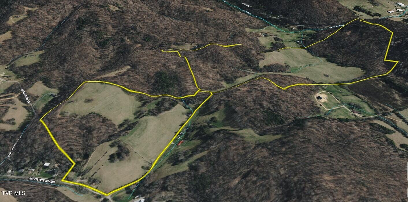 1520 Brittontown Road Afton, TN 37616 - Photo 84 of 85 _Pic88 (3)