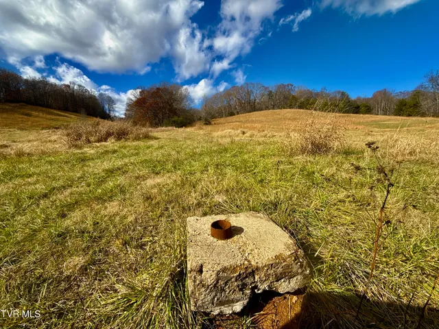 $899,900 | 1520 Brittontown Road, Afton, TN 37616