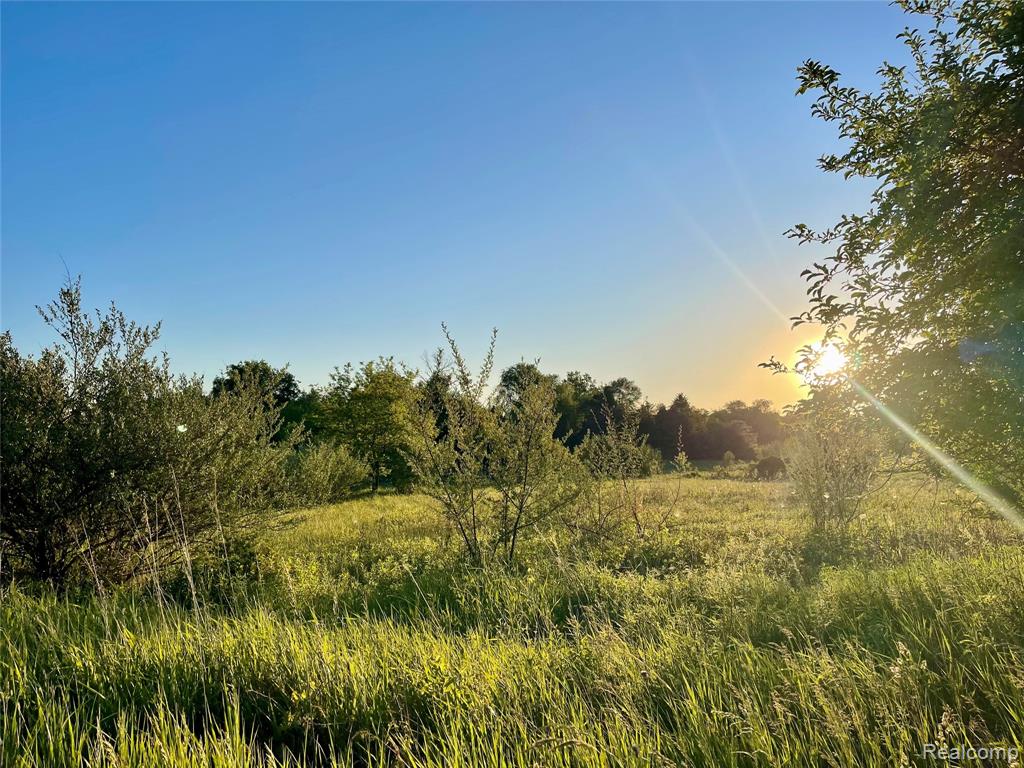 0 Hayden Road Attica, MI 48412 - Photo 4 of 7