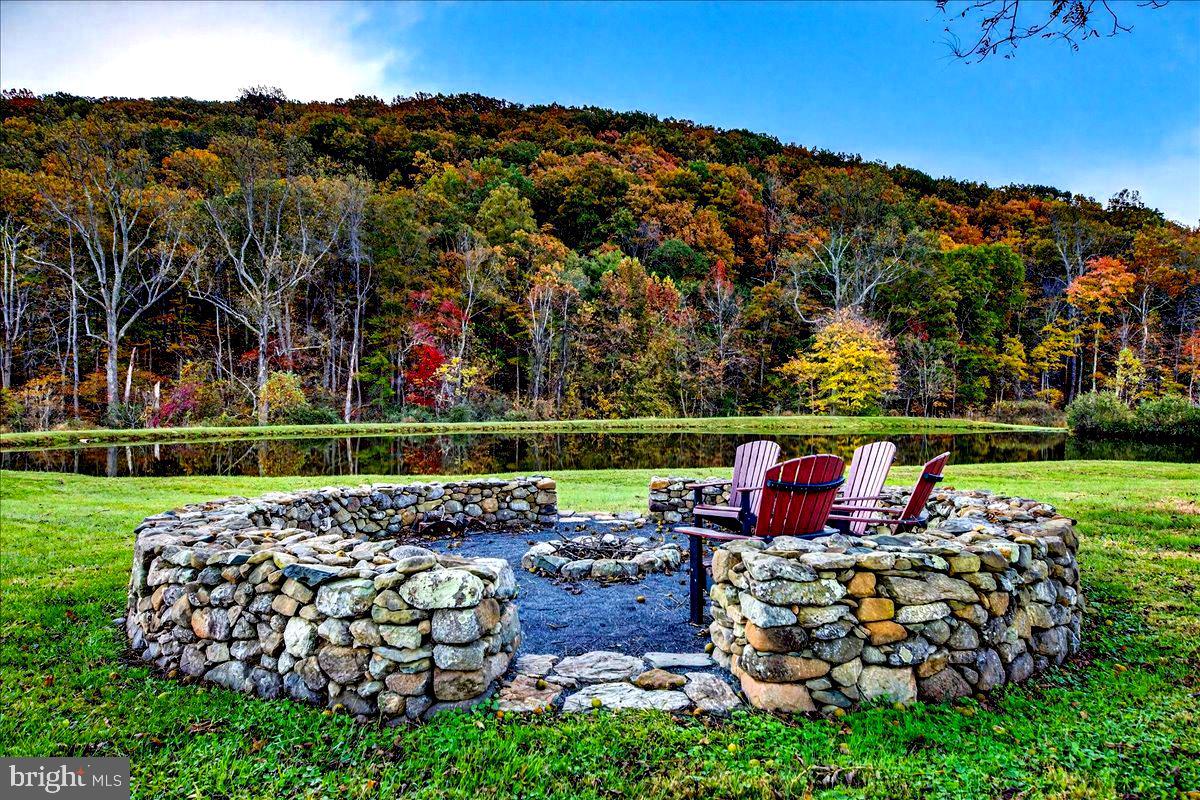 290 Riley Hollow Road Huntly, VA 22640 - Photo 18 of 148 a view of a chairs and table in the garden