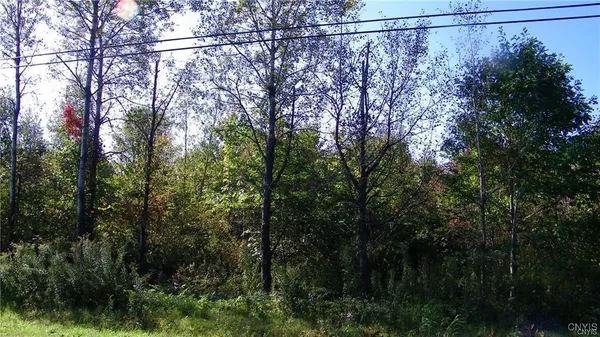$38,000 | Lot#2 Martin Road, Cleveland, NY 13042
