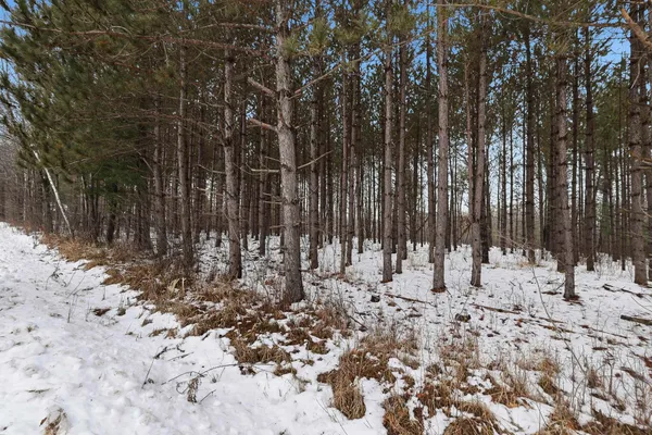 $145,000 | 10-acres Linwood Drive, Stevens Point, WI 54481