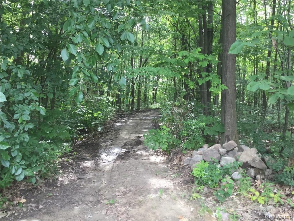 4711 Martin Road Capac, MI 48014 - Photo 25 of 29 Pathway into the woods behind home.
