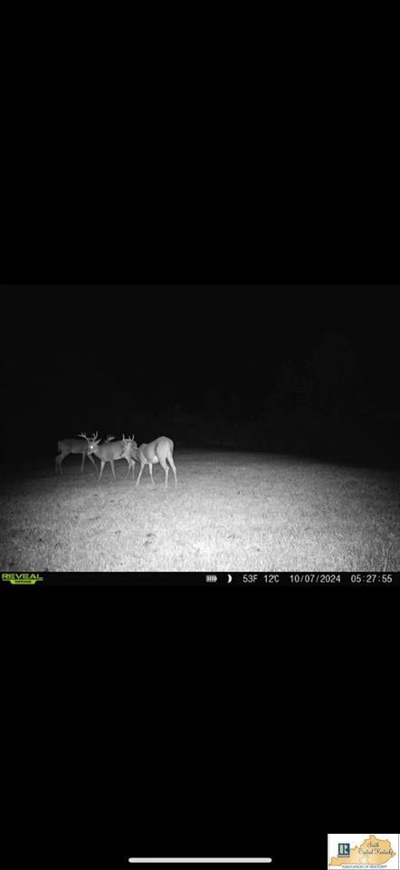 0 Cedar Flat Curtis Road Edmonton, KY 42129 - Photo 65 of 77 Gallery Image 65