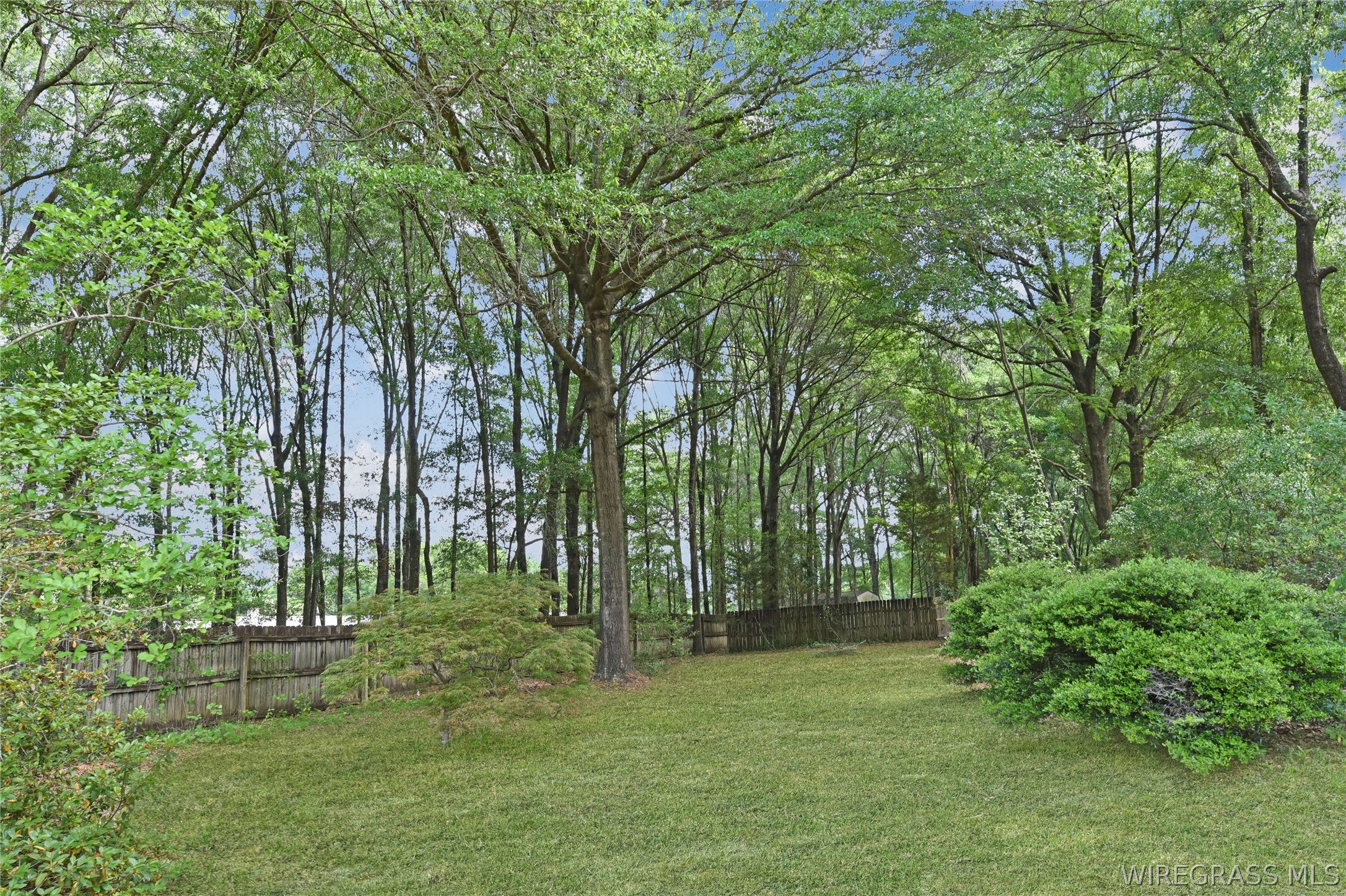 2239 Campground Road Ozark, AL 36360 - Photo 24 of 27 Back of property