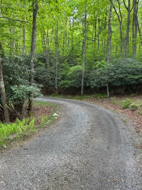 225 Ridge Line Trail Independence, VA 24348 - Photo 43 of 45 Gallery Image 43