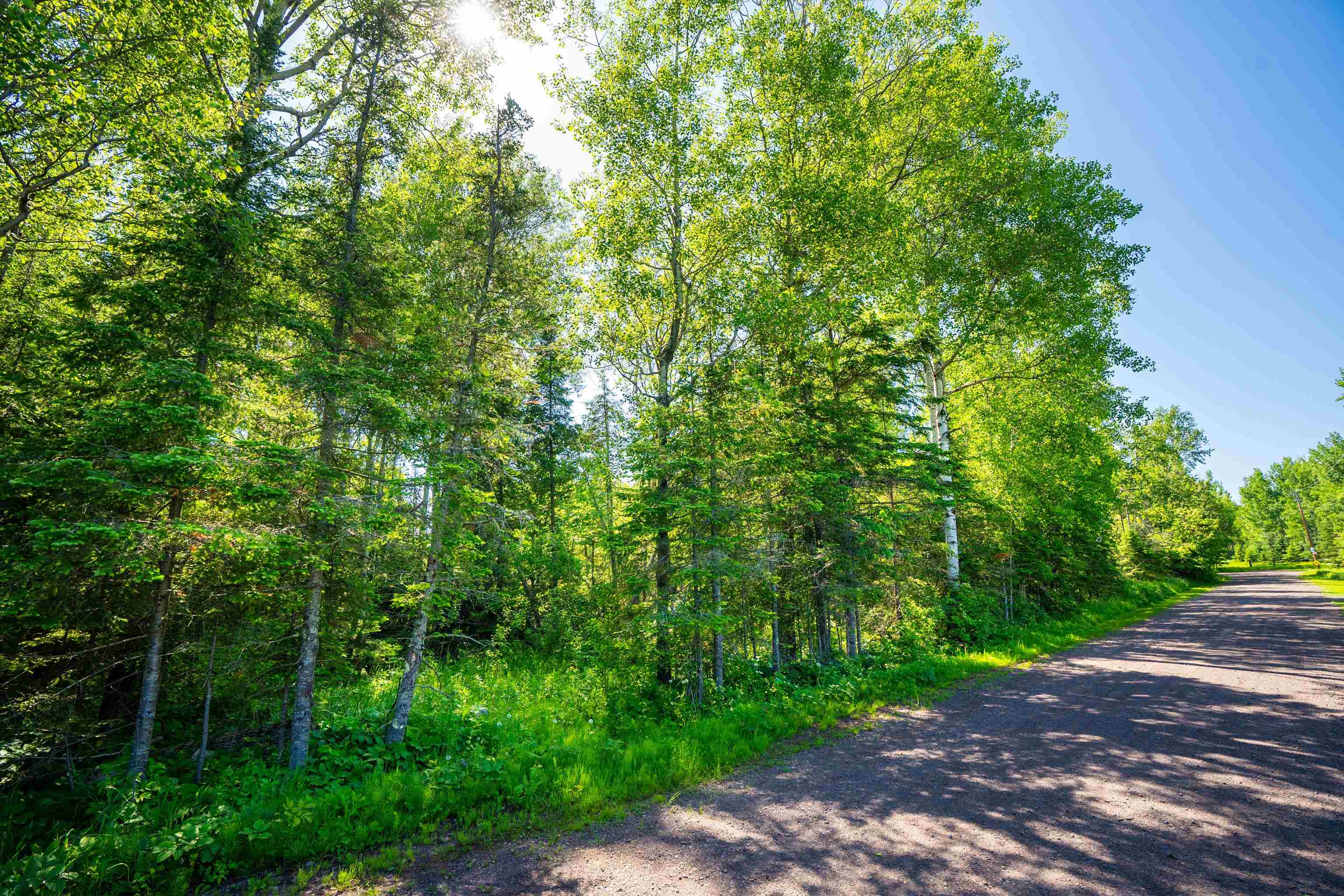 Xxxx Nordling Road Duluth, MN 55804 - Photo 5 of 11 Gallery Image 5