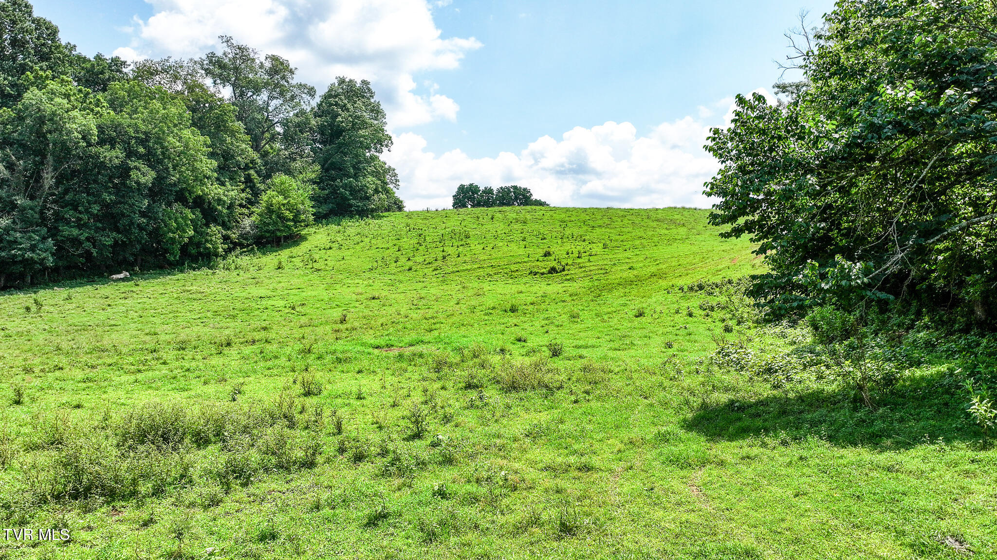 2130 Old Jonesboro Road Chuckey, TN 37641 - Photo 87 of 102 85