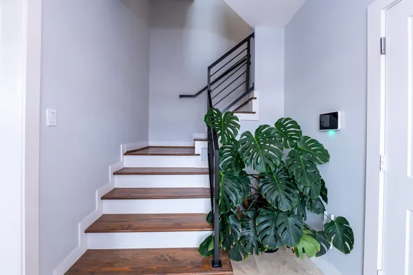 a view of staircase with potted plants