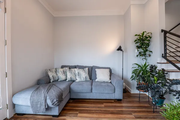 a living room with furniture and a potted plant