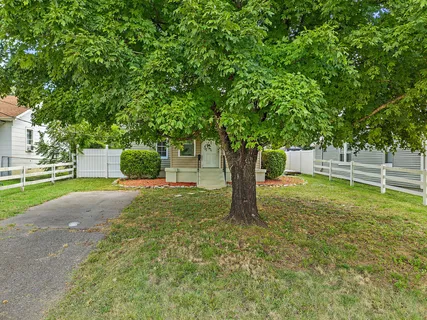 a view of a yard with a house and large tree