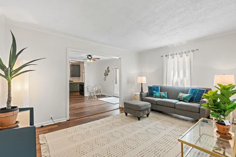 a living room with furniture and a potted plant