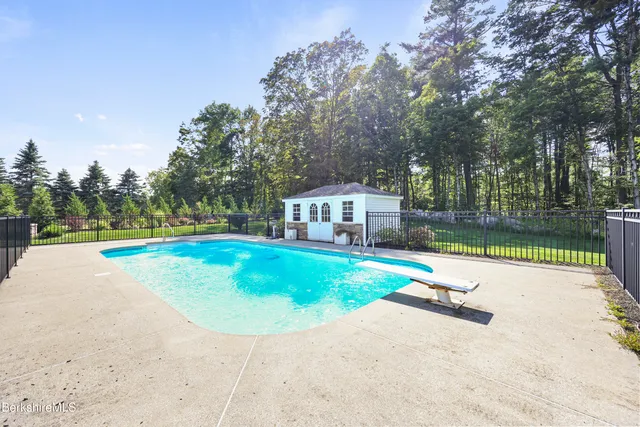 a view of a garden with plants