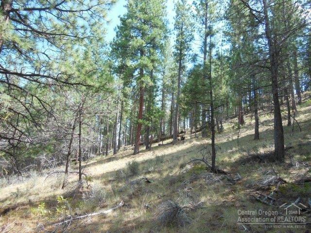17785 Wilt Road Sisters, OR 97759 - Photo 11 of 25 a view of a forest with trees in the background