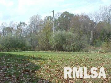 495 Nash Road Anna, IL 62906 - Photo 5 of 6 Gallery Image 5
