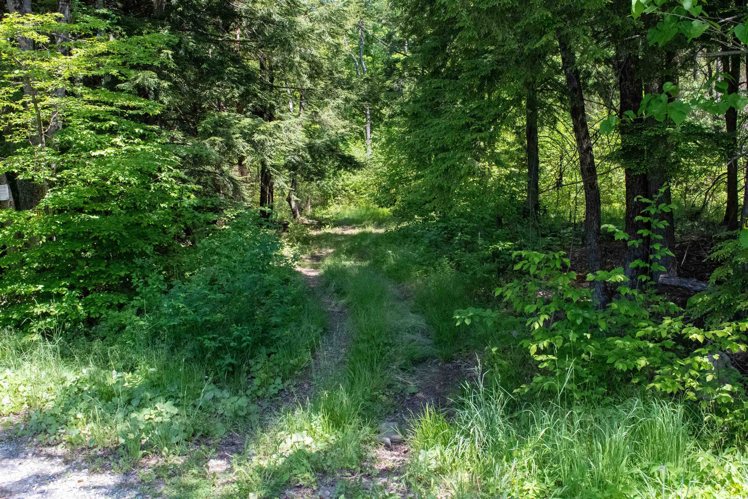 101 Neal Mine Road Charlestown, NH 03603 - Photo 20 of 24